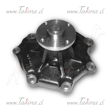 Repuestos de autos: Bomba de Agua, Nissan Patrol 1987-1993 TD42 4.2L L...
Nro. de Referencia: 21010-06J27