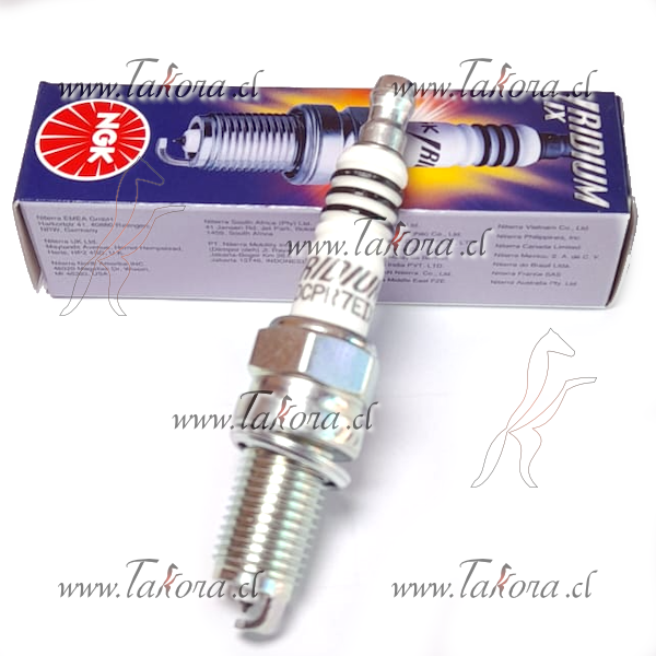 Repuestos de autos: Bujia Ngk DCPR7EIX Iridium/Iridio

<br>
<br><sp...
Nro. de Referencia: DCPR7EIX