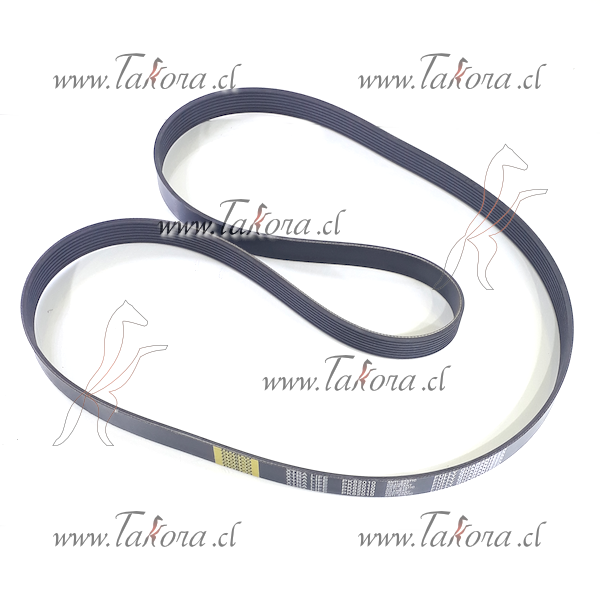 Repuestos de autos: Correa del Ventilador  8PK-2010 (8PK2010)

<br>...
Nro. de Referencia: PK82010