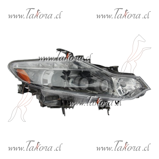 Repuestos de autos: Optico Derecho Nissan Murano 2008- ,...
Nro. de Referencia: 26010-1AH1A