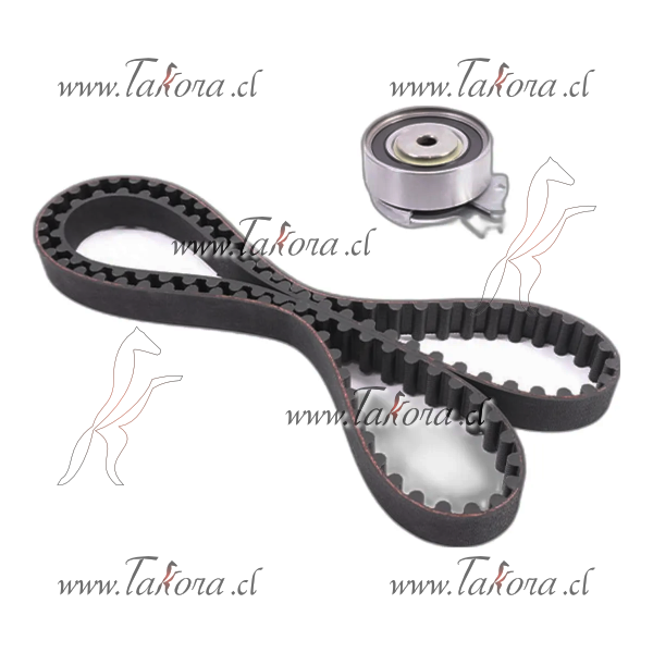 Repuestos de autos: Kit / Set de Distribucion, 111dientes, 2 piezas.
...
Nro. de Referencia: RKCHV001